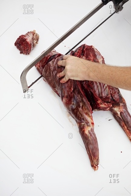 Butcher preparing venison with a meat saw