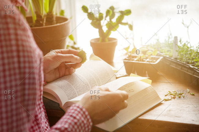 Man looking up leaf in reference book