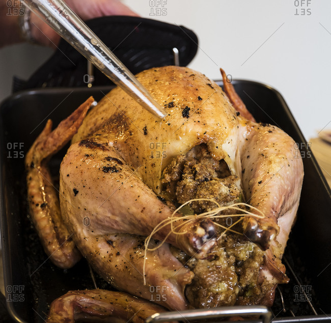 Person basting thanksgiving turkey