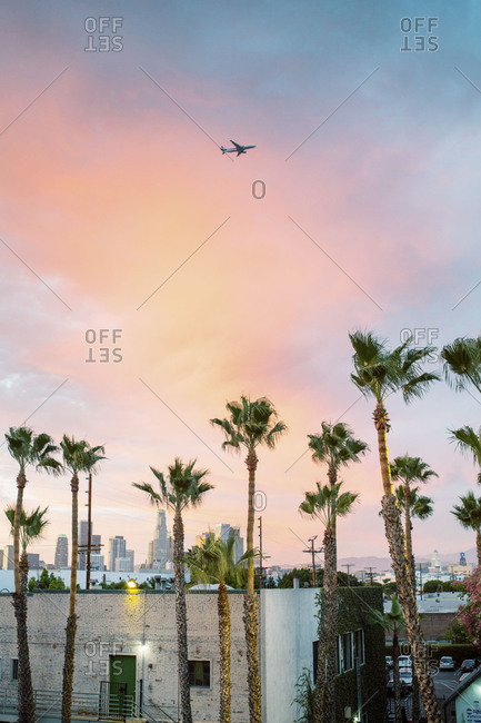 Plane flying over palm trees in city