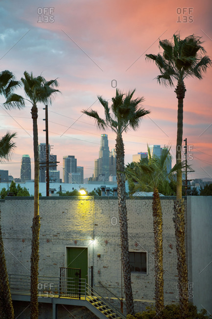 Building surrounded by palm trees with city backdrop