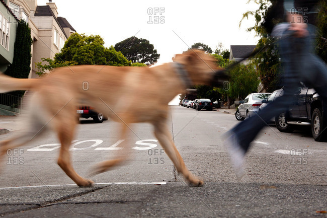 A woman crosses her street with her dog in San Francisco\'s Mission District