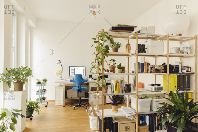 Home office with shelf and plants in modern building