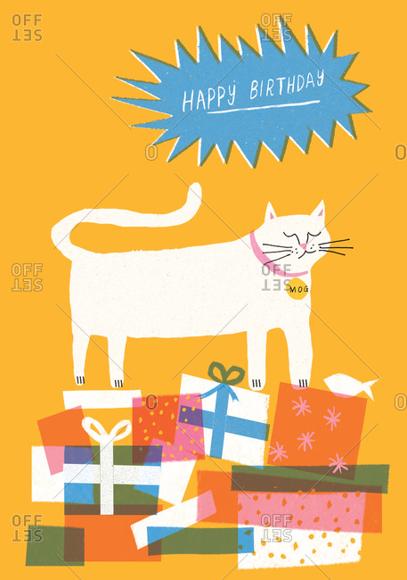 Cat standing on birthday presents
