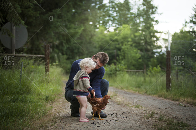 Young girl looking at a chicken next to her father