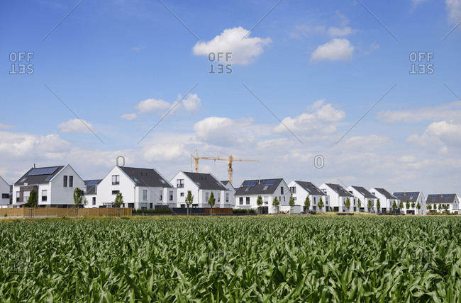 Development area with one-family houses and twin houses