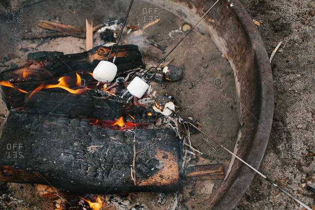 Marshmallows being roasted over a campfire
