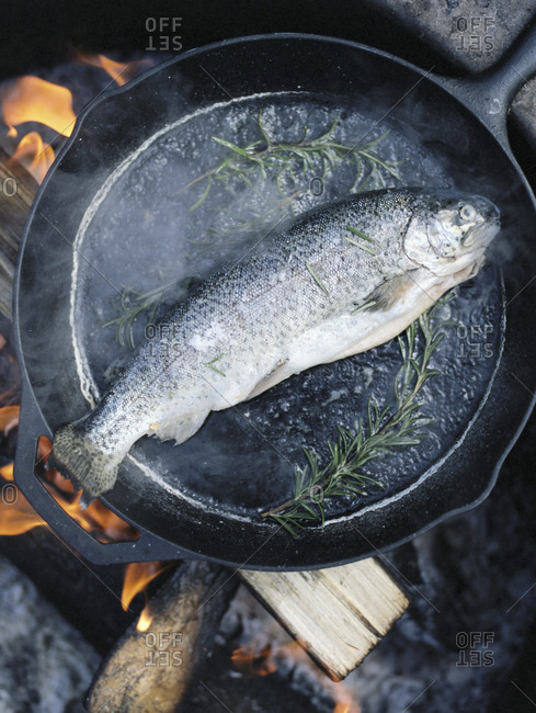 Fish in a frying pan over an outdoor fire