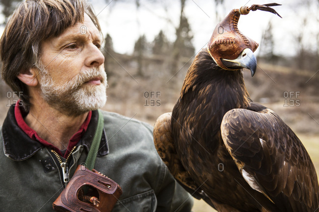 A bird handler and his golden eagle