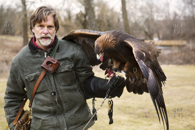 A bird handler feeds his golden eagle red meat