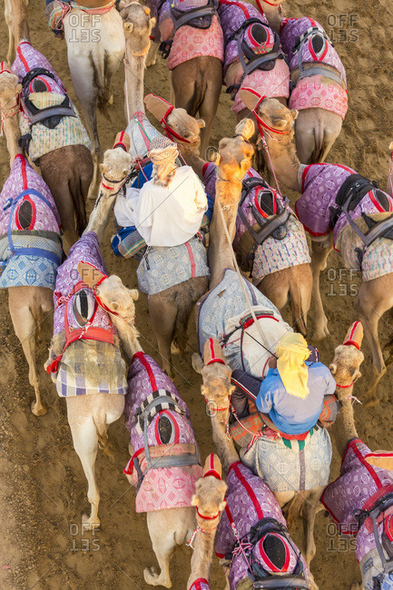 High angle view of camel racers at a track in Dubai