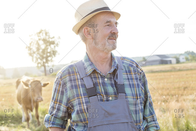 Farmer with cow in background