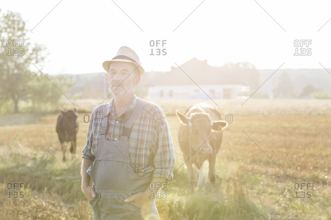 Serious farmer with cows in background