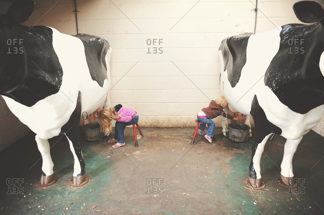 Two little girls milking a cow in a barn