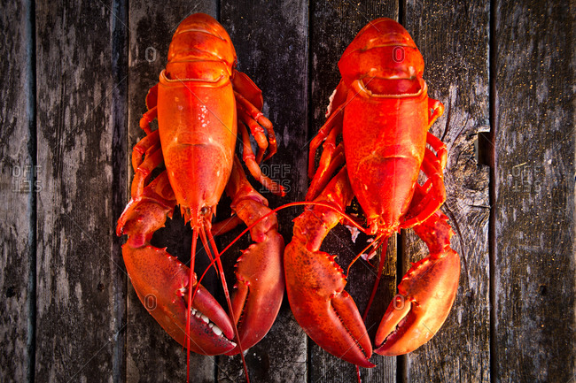 Two cooked lobsters sit on a picnic table