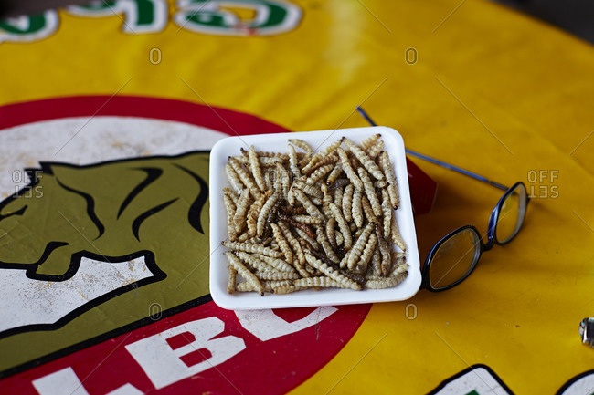 Cooked bamboo worms on tray in Thailand
