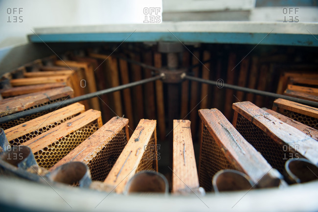 Frames rotating inside a honey extracting machine