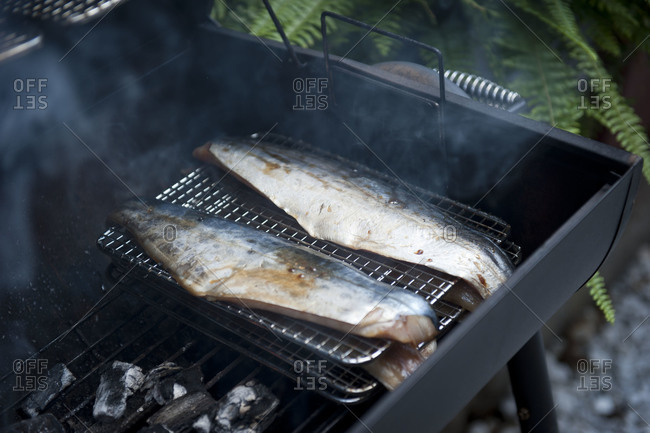 Fish smoking on an outside grill