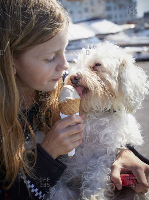 Girl and dog eating ice-cream together