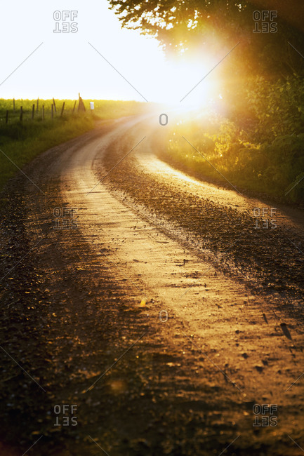 Sun shining on a dirt road