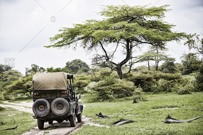 Vehicle on safari the African savannah
