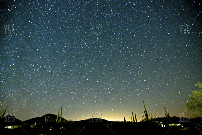 Starry sky above Organ Pipe Cactus National Monument, Arizona