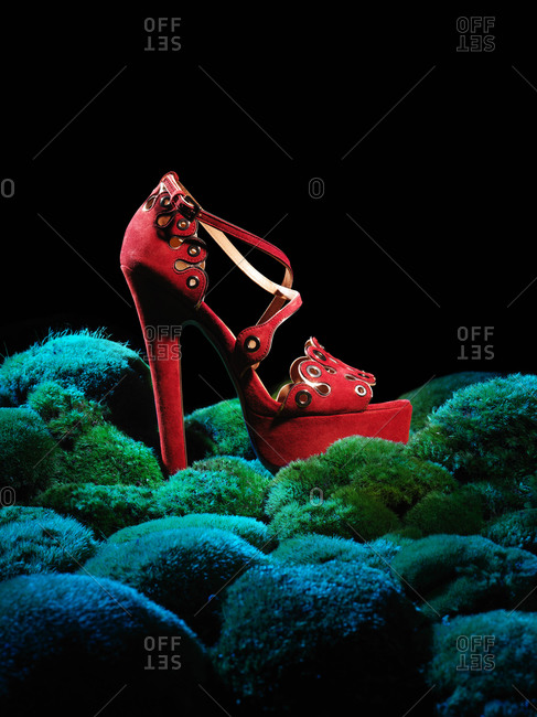 Red high heeled sandal on mossy rocks