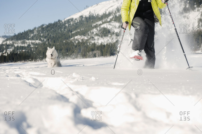Woman snow shoeing with husky near Donner Lake, California