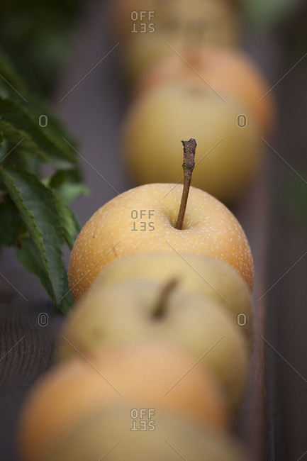 Asian pears lined up on bench