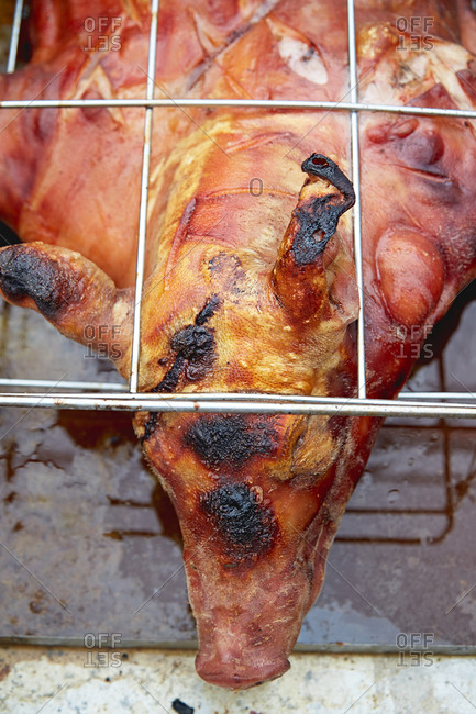 Whole roasted pig on grill