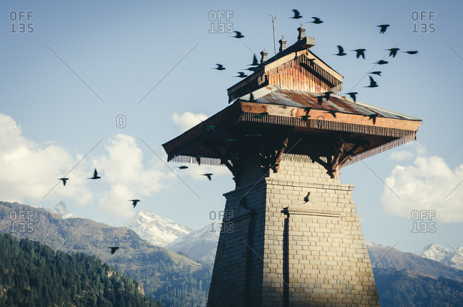 Birds flying above a tower in Manali, Himachal Pradesh, India