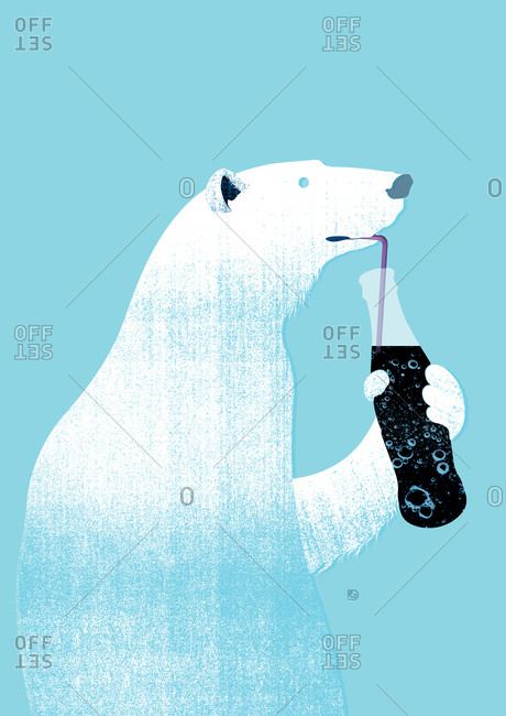 Polar bear drinking soda from a bottle with a straw