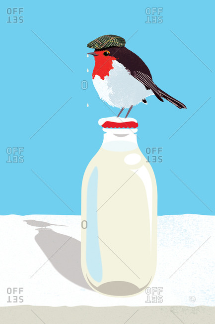 Robin pecking milk from a snow-covered bottle