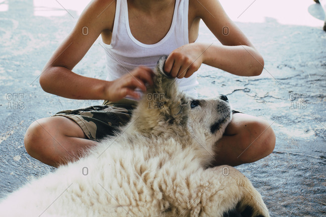 Young boy sitting scratching dog\'s ear