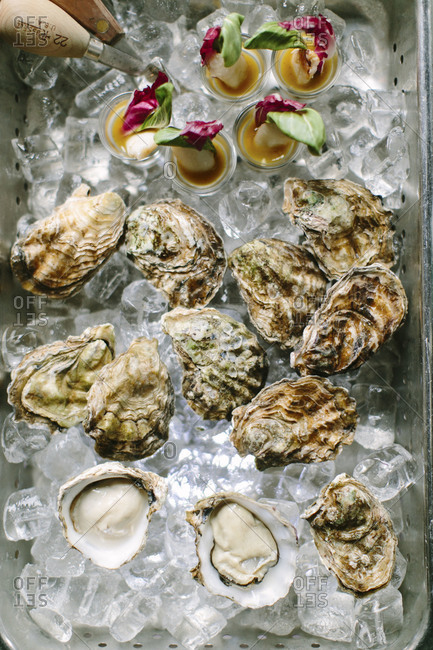 Fresh oysters and shrimp cocktails served on ice