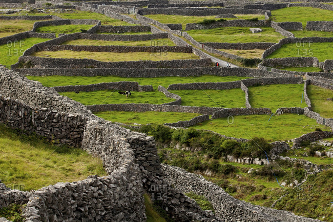 Karst limestone walls in Inisheer, Aran Islands, Ireland