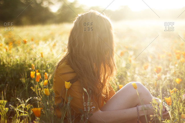 Woman sitting in sun dappled field of flowers