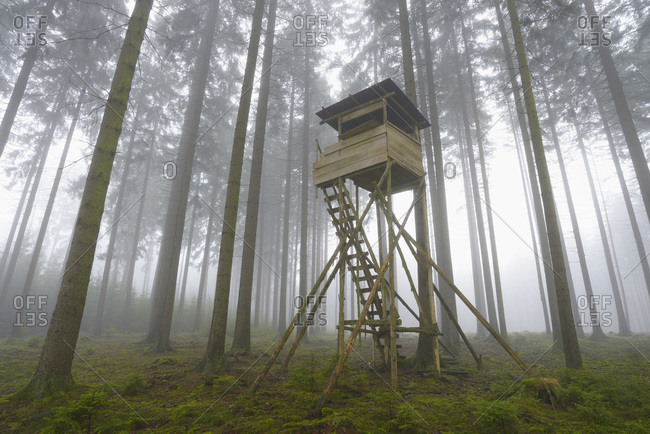 A hunting blind in a spruce forest in Odenwald, Hesse, Germany