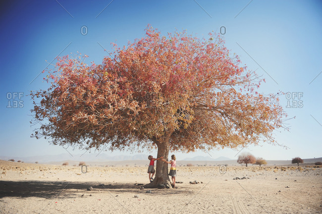 Little girls hugging a tree in the Iranian desert