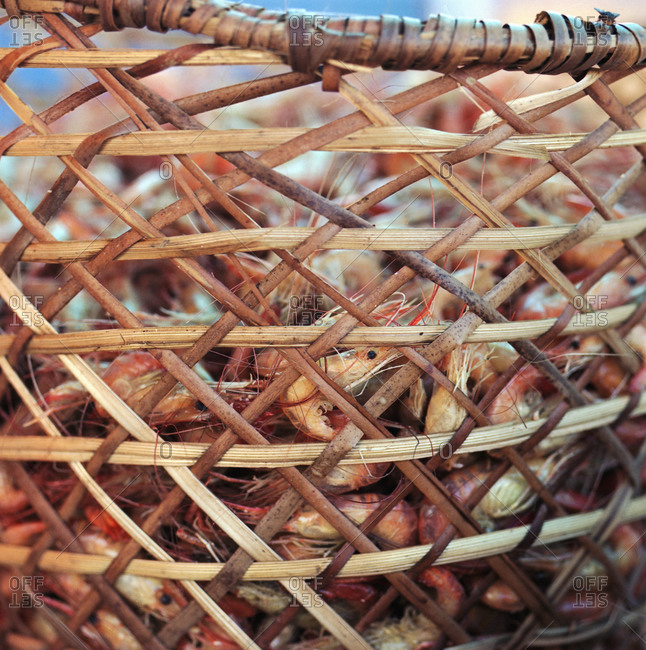Shrimp in a basket