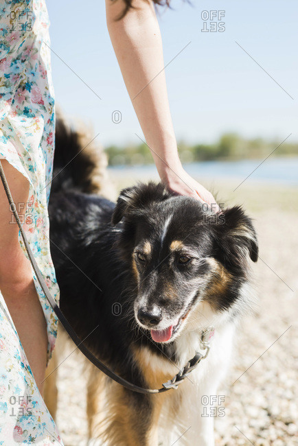 Woman with dog outdoors in summer