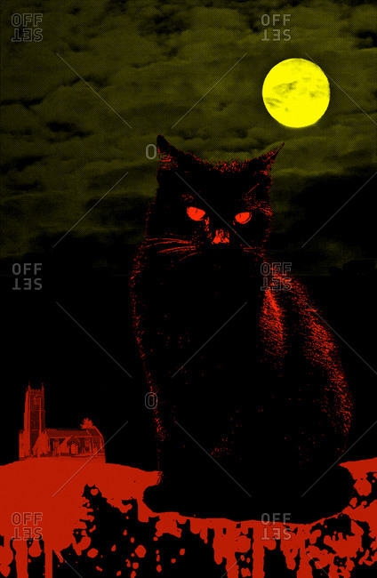 Black cat in a moonlit night