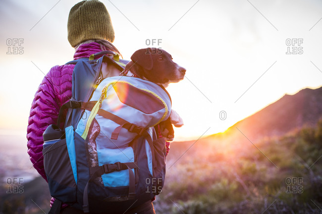 A woman gives her puppy a ride in her pack after a long hike