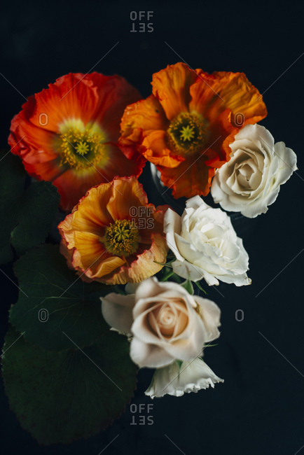 Orange peonies and pale roses
