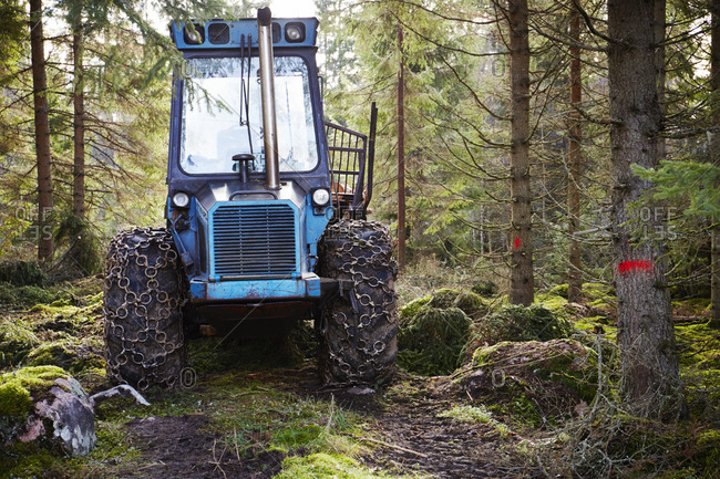 Tractor in forest