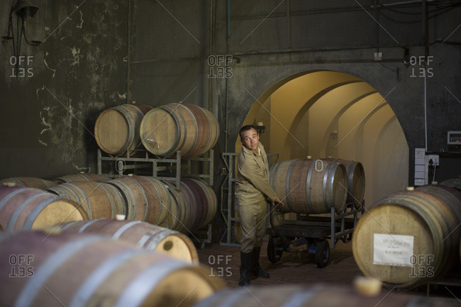 Winemaker pulling cart with barrels in cellar