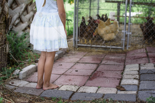 Barefoot young girl in a dress standing on paving stones to observe chickens in a pen