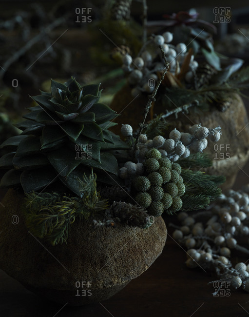 Arrangements of a succulent and various dried floral decorations