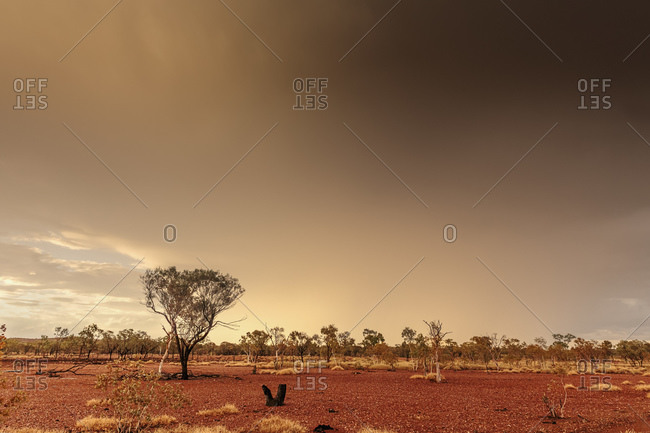 Thunderstorm roles through desert in Western Queensland, Australia