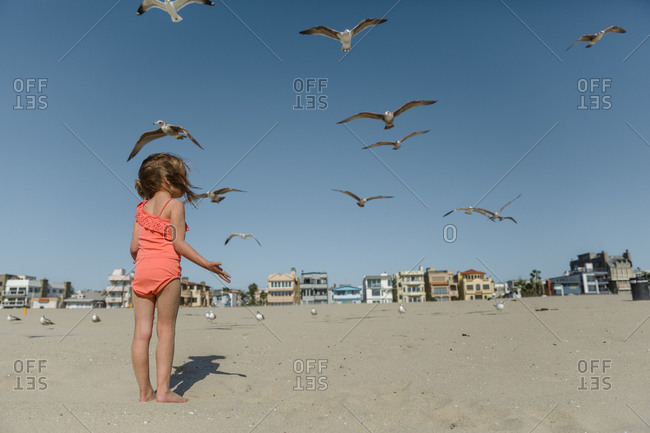 Girl on beach watching seagulls fly